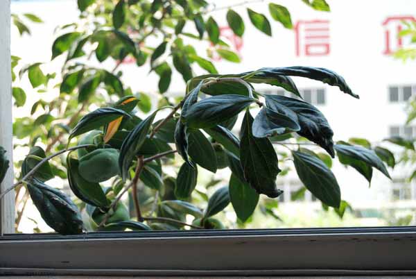 鸿运国际·(中国)会员登录入口