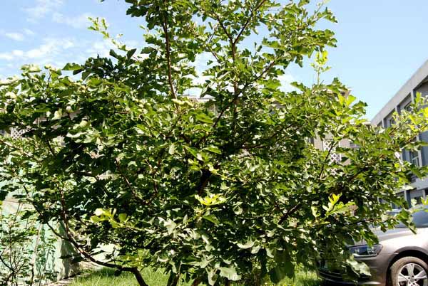 鸿运国际·(中国)会员登录入口