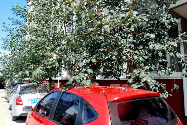 鸿运国际·(中国)会员登录入口