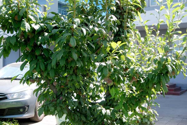 鸿运国际·(中国)会员登录入口