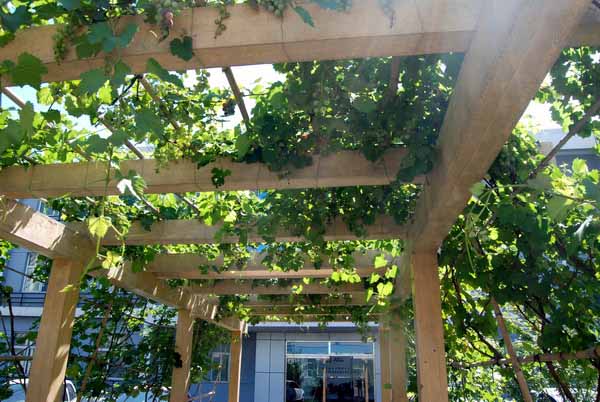 鸿运国际·(中国)会员登录入口