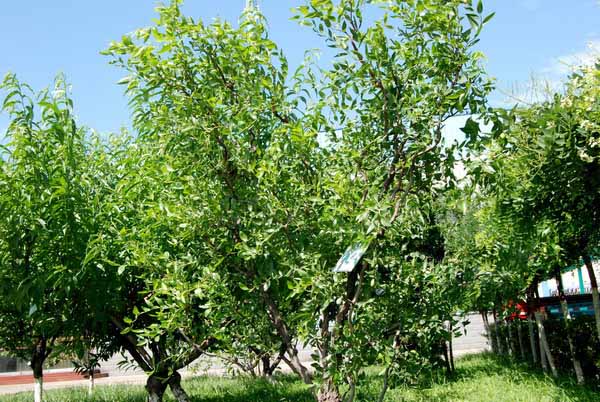 鸿运国际·(中国)会员登录入口